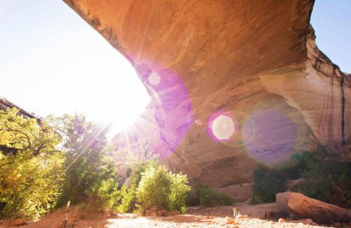 Cedar Canyon Condos - Foto 46