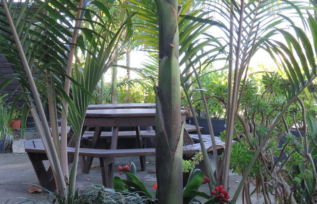 Blue Wave Motel Mount Maunganui - Foto 28