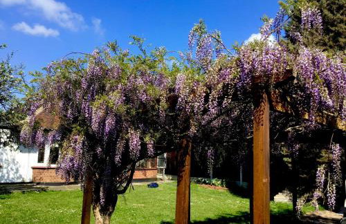 Westbury House - Foto 21