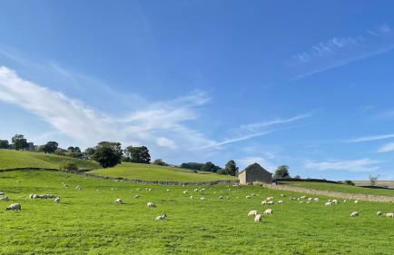 Fern Cottage - Cosy Dales Cottage in Nidderdale - Photo 44
