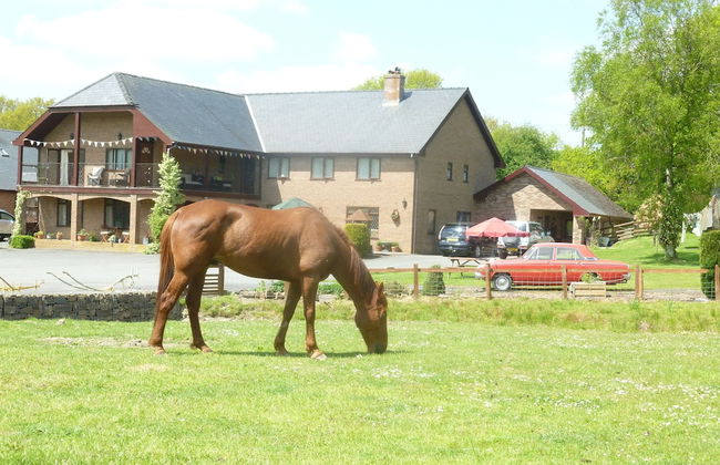 Acorn Court Country House - Foto 32