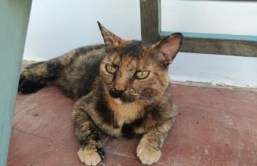 Villa María, más que pernoctar - Foto 44