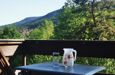 Appartement 1 chambre terrasse et piscine - Foto 4