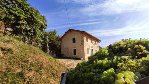 Sul Collagù - Foto 4