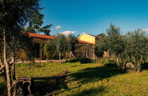 Quinta-lina de serpins - Foto 65