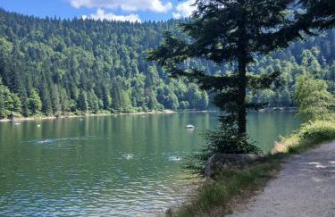 chalet Leon - Foto 20