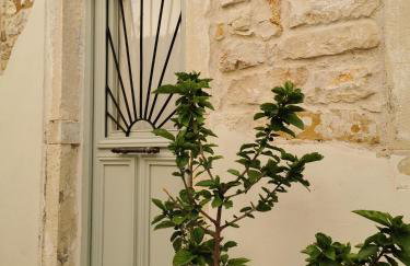 Nio's nest - Foto 18