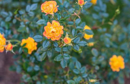 The Fairways - Foto 21