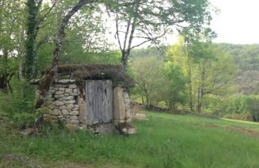 La Roulotte CLERELU - Du domaine des Ramonets - Photo 3