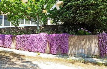 Casa Muraglia Studio/Studio Under Castle - Foto 27