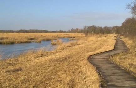 Ferienwohnung Kornew - Foto 59