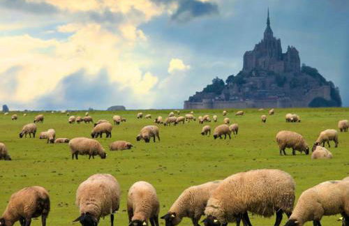 Gîte Timéo Mont Saint-Michel - Foto 48