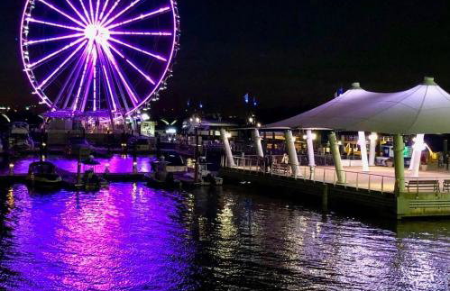 Spacious home near DC - Foto 30