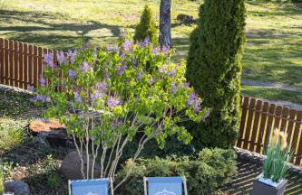 Wila Dom Nad Jeziorem Mazury - Photo 13