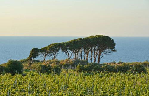 Tenuta Rasocolmo - Foto 28