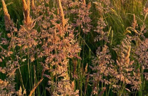 House - Free Parking & Sea Views - Foto 37