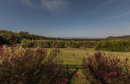 Podere San Niccola - Foto 35