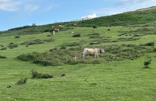 El Refugio de los Corrales - Foto 67