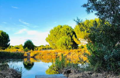 Casas das Piçarras - Alentejo - Foto 24