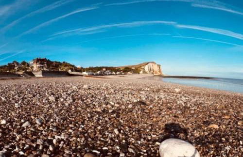 vue sur Mer " VILLA DES MOUETTES " les pieds dans l eau - Foto 6