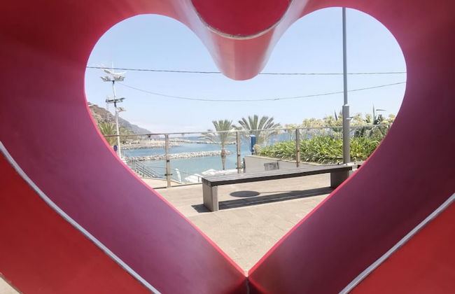 Casas Maravilha - Rvore by Homie - Foto 38