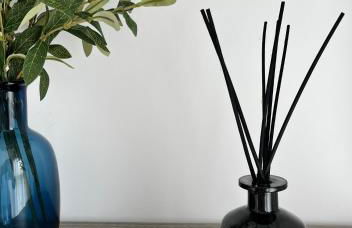 Dailos Ávila - Foto 34