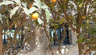 Campagne et Mer - Foto 5