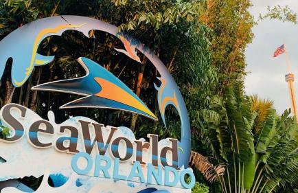 Heated PoolPing pongFoosballShort drive 2 Beach - Foto 45