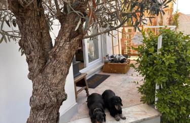 Vila Nogueira De Azeitao - Amaral's Guest Houses - Foto 7