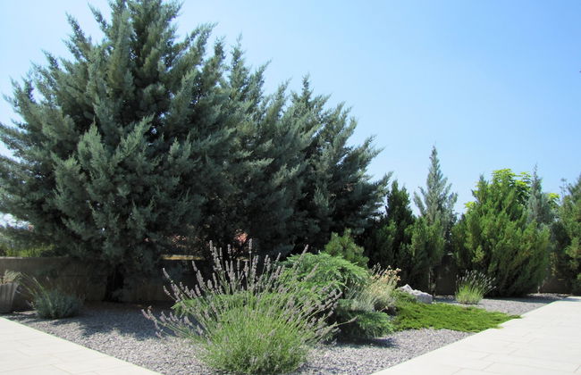 Villa Lavanda in Kriz Sezana With Private Swimpool - Foto 25