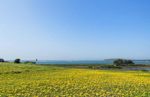 Breathtaking Views of the Pacific Ocean Rooftop Balcony Gourmet Kitchen and Hot Tub overlooking Golf Course - Foto 43
