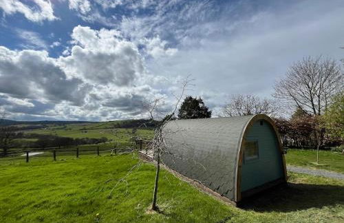 The Pod Patch - Trelerney Pod - Foto 20