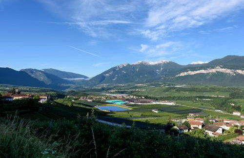 Agritur La Pieve - Foto 7