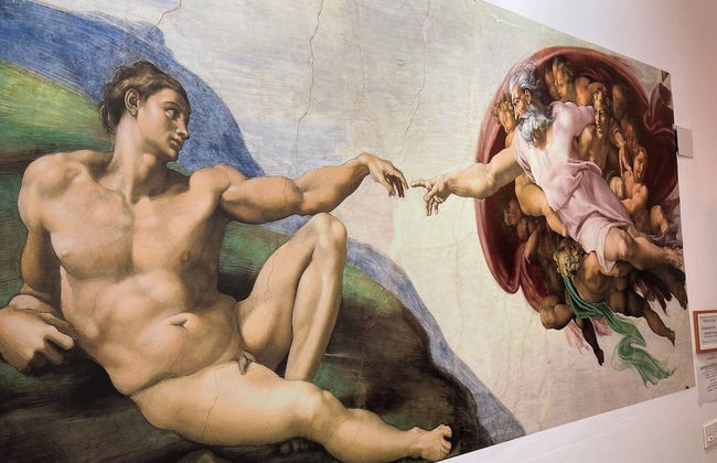 Golondrinas de Malaga - Photo 17