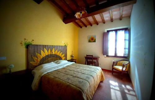 Agriturismo Podere Padolecchie - Azienda Agricola Passerini - Foto 2