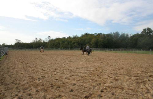 Agriturismo Fano's Farm - Foto 42