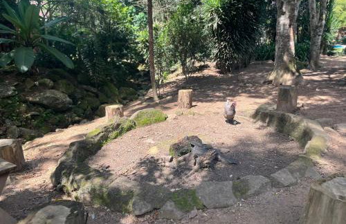 Casa em Friburgo com piscina, lareira suíte & quarto ATENCAO SABADO DIA 18 DE ABRIL TERA FESTA NA CHACARA - Foto 32