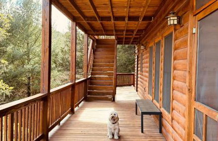Cabin in Lost City WV with Hot Tub and Pet Friendly - Foto 31