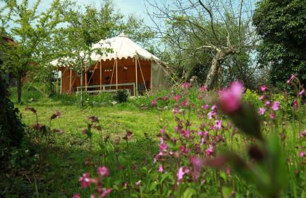 Luna caravane Vintage - Photo 29