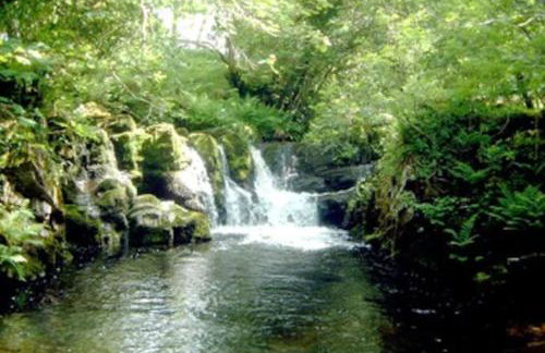 Happy Horse Cottages - Foto 57