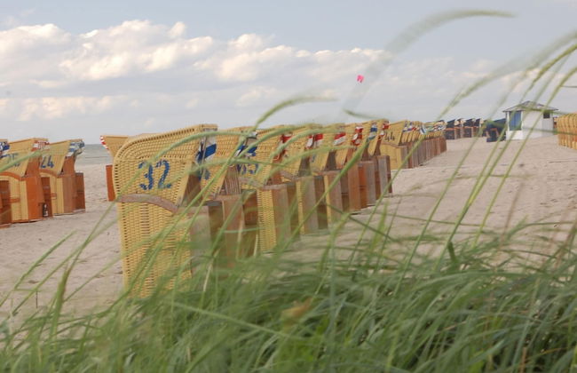 Ferienhaus vor den Toren der Insel Poel - Foto 38