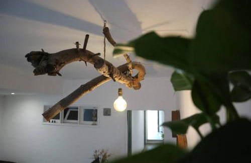 Sopas e Descanso - Foto 13