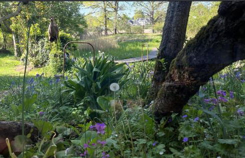 Ferienwohnung Erlkron - Foto 14