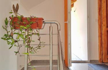 Apartman Lukić - Foto 32