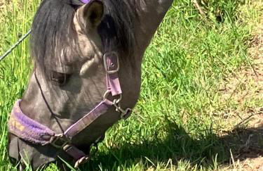 Ferienwohnung Aussicht, Monheimer Alb, Altmühltal - Foto 19