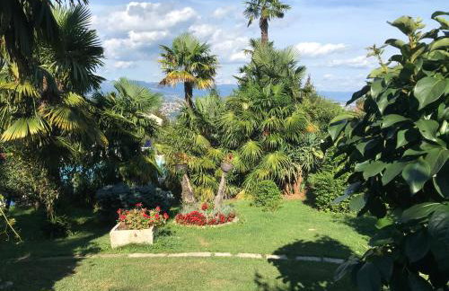 Studio Apartman Lavanda - Foto 13