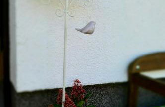 Ferienwohnung Jüdel mit Saunanutzung - Foto 32