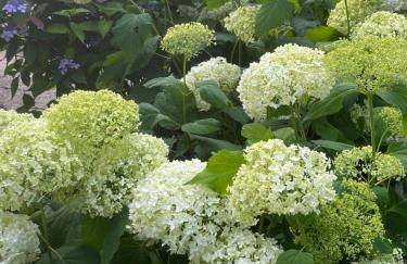 Güneitzblick - Foto 19