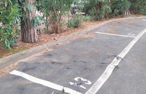 Olivo House 1 - Foto 3