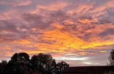 Beautiful 2 bed cottage with swimming pool - Foto 71